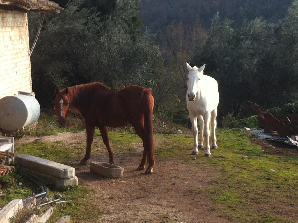 Capodacqua  Agriturismo Villa Gabbiano מראה חיצוני תמונה