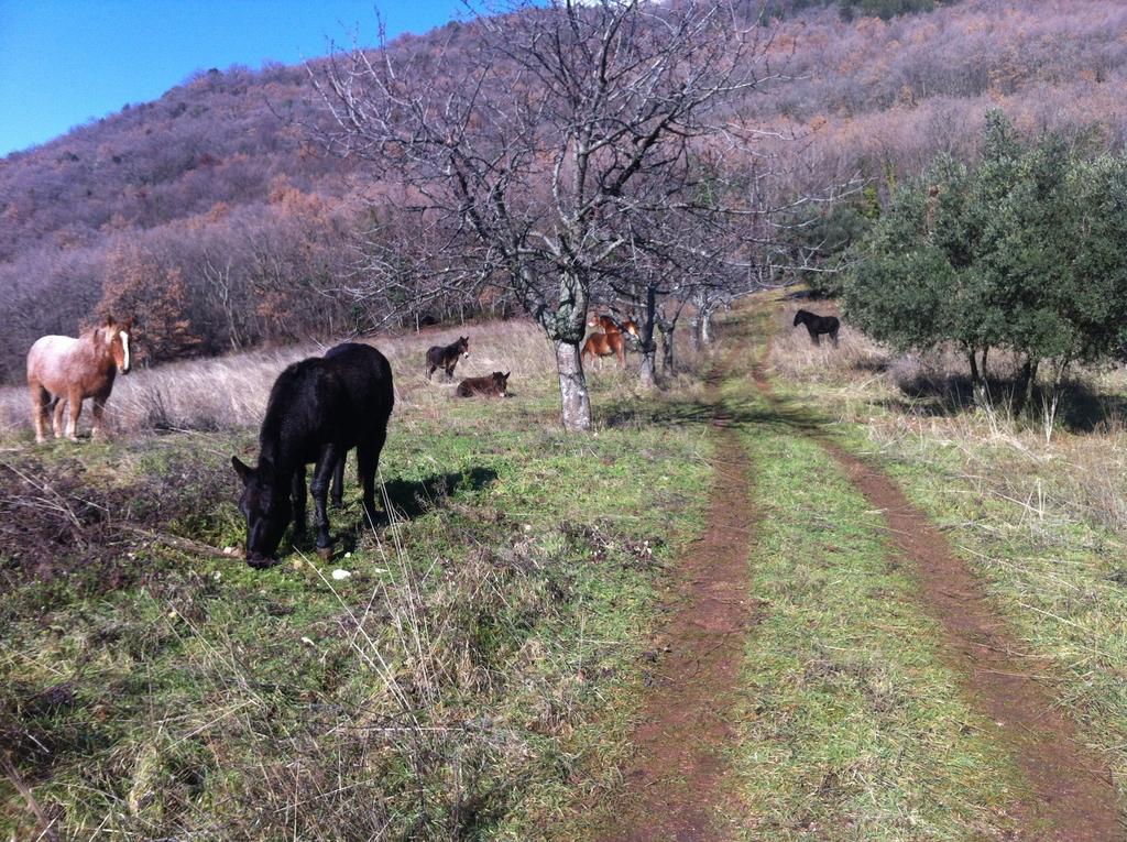 Capodacqua  Agriturismo Villa Gabbiano מראה חיצוני תמונה